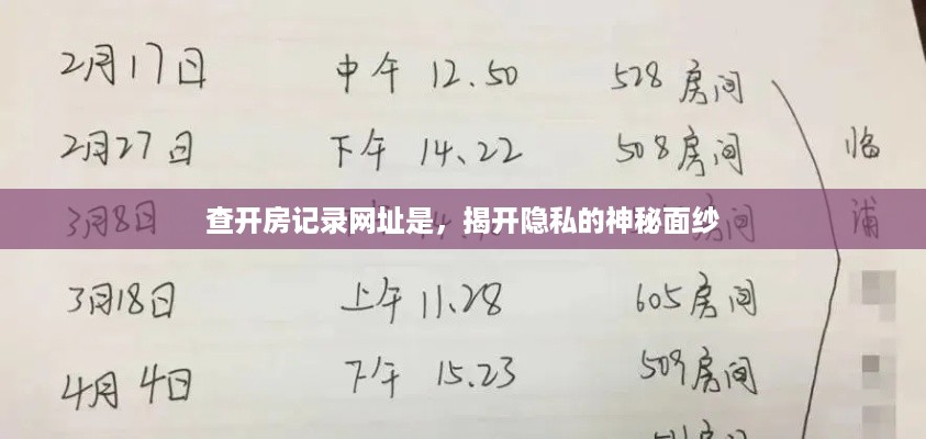 查开房记录网址是，揭开隐私的神秘面纱