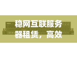 稳网互联服务器租赁，高效、可靠与成本效益的完美融合
