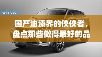 国产油漆界的佼佼者，盘点那些做得最好的品牌