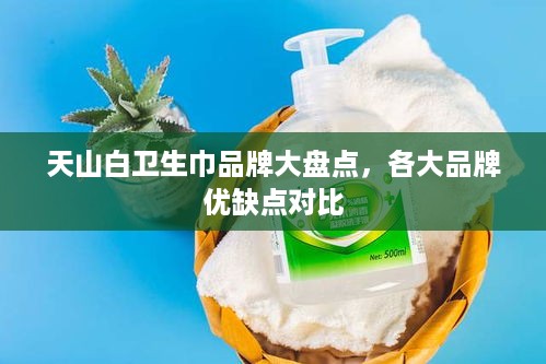 天山白卫生巾品牌大盘点，各大品牌优缺点对比