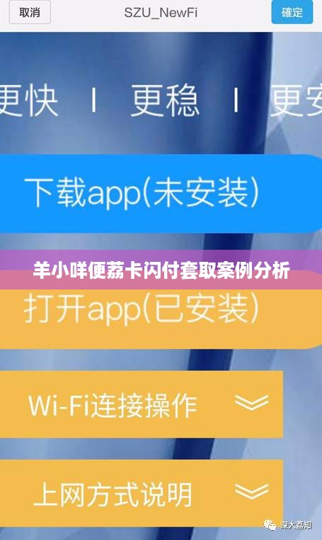 羊小咩便荔卡闪付套取案例分析