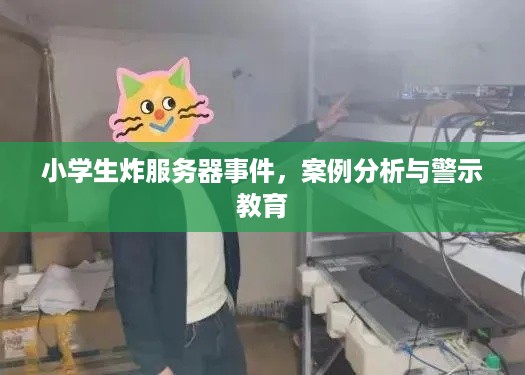 小学生炸服务器事件，案例分析与警示教育