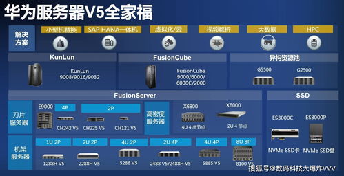 重生服务器国家选择指南