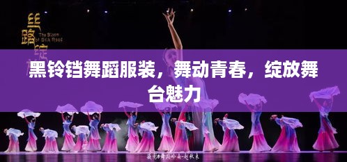 黑铃铛舞蹈服装，舞动青春，绽放舞台魅力