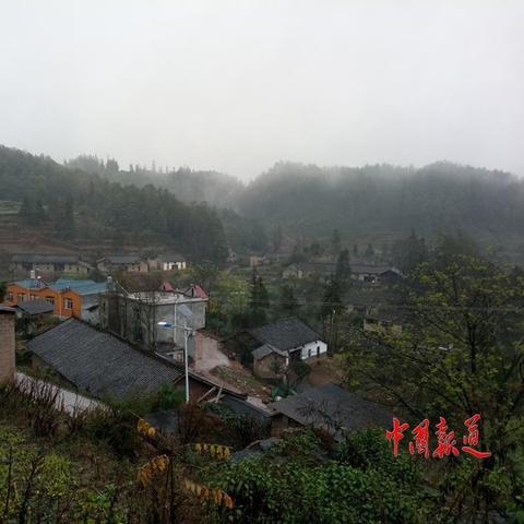 瑞安哪里买品牌茶叶最划算？性价比高的购物攻略