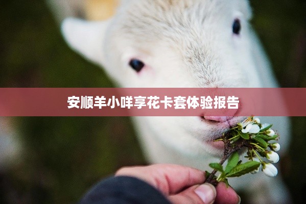 安顺羊小咩享花卡套体验报告