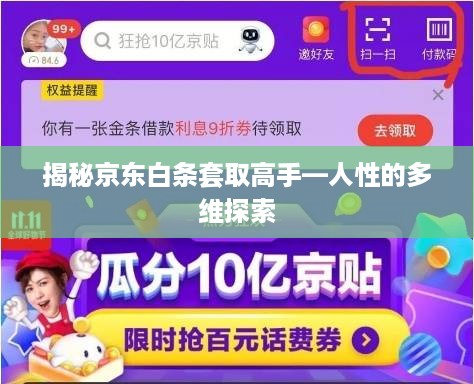 揭秘京东白条套取高手—人性的多维探索