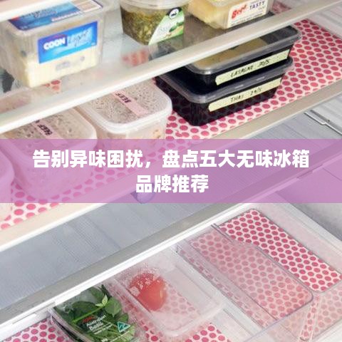 告别异味困扰，盘点五大无味冰箱品牌推荐