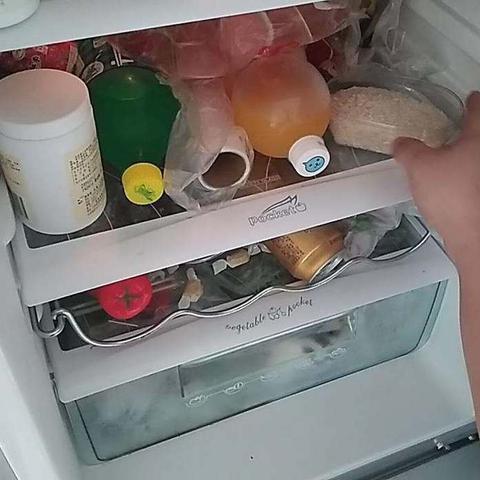 告别异味困扰，盘点五大无味冰箱品牌推荐