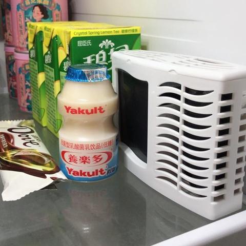 告别异味困扰，盘点五大无味冰箱品牌推荐