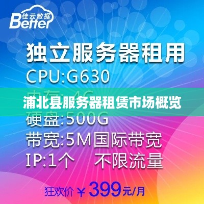浦北县服务器租赁市场概览