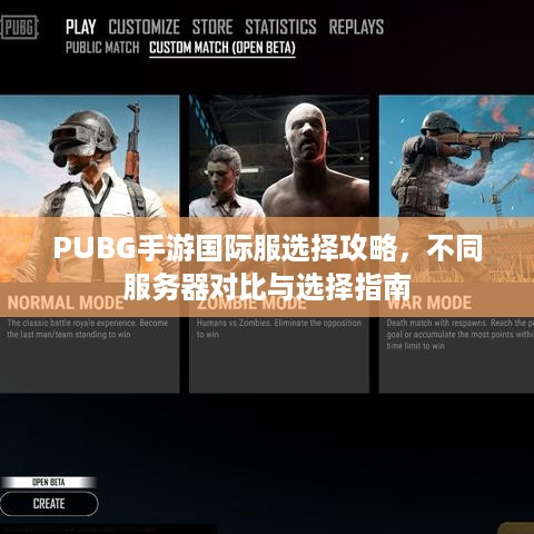 PUBG手游国际服选择攻略，不同服务器对比与选择指南