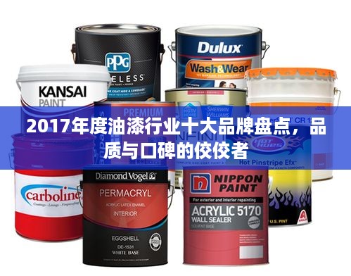 2017年度油漆行业十大品牌盘点，品质与口碑的佼佼者