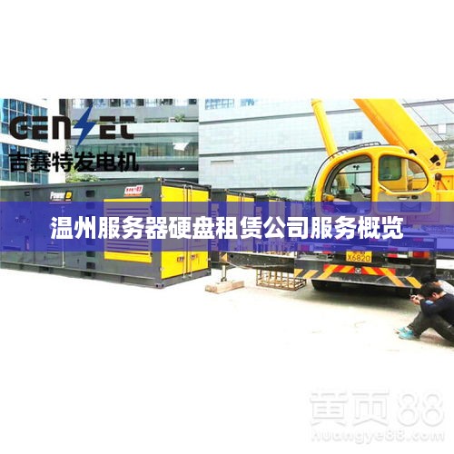 温州服务器硬盘租赁公司服务概览