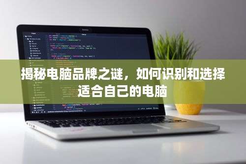 揭秘电脑品牌之谜，如何识别和选择适合自己的电脑