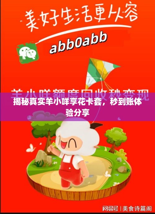 揭秘真实羊小咩享花卡套，秒到账体验分享