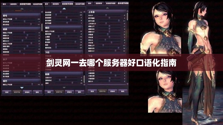 剑灵网一去哪个服务器好口语化指南
