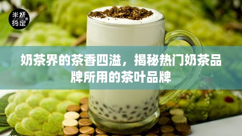奶茶界的茶香四溢，揭秘热门奶茶品牌所用的茶叶品牌