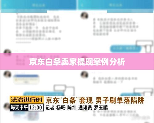 京东白条卖家提现案例分析