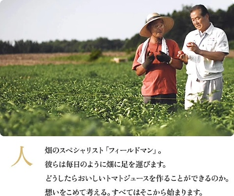 揭秘日本株式会社茶叶品牌，匠心独运，品味非凡