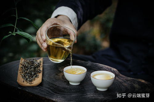2023年盘点，十大茶叶品牌，品味茶香中的经典与时尚