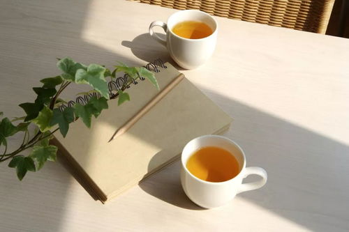 高端茶叶杯子品牌推荐，品味生活，从一杯好茶开始
