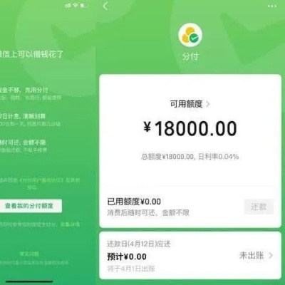 抖音月付可用额度能否套取？案例分析与技巧指南