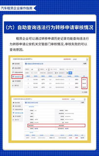 租赁服务器违法处理指南