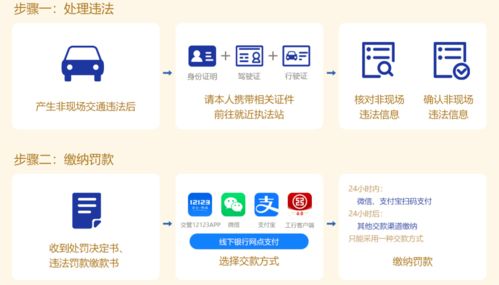 租赁服务器违法处理指南