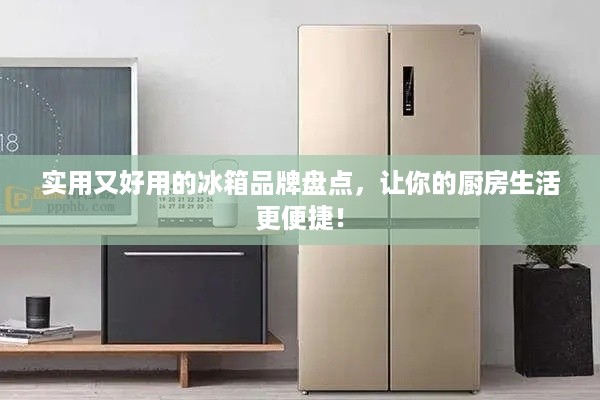 实用又好用的冰箱品牌盘点，让你的厨房生活更便捷！