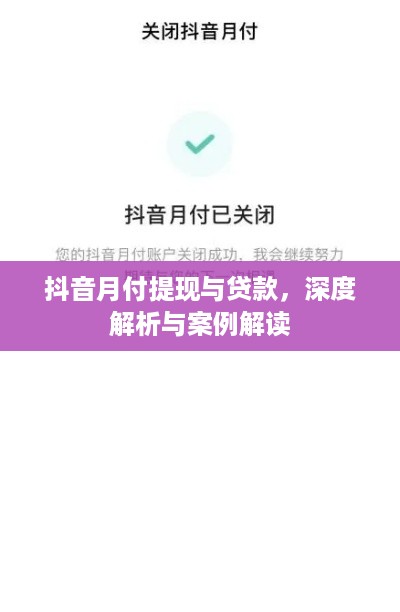 抖音月付提现与贷款，深度解析与案例解读