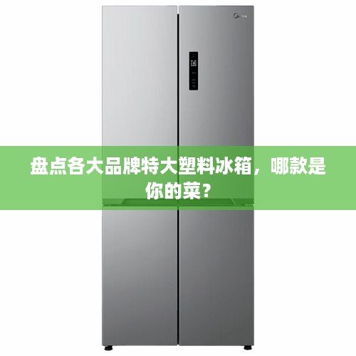 盘点各大品牌特大塑料冰箱，哪款是你的菜？