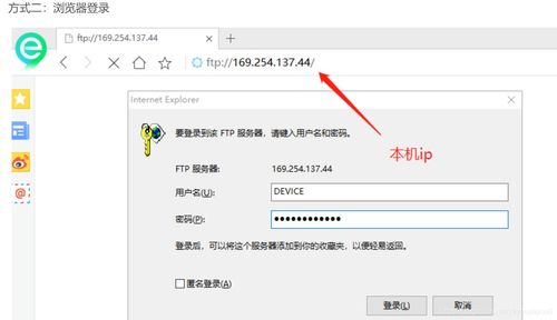 服务器共享软件推荐