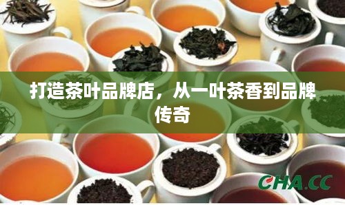 打造茶叶品牌店，从一叶茶香到品牌传奇