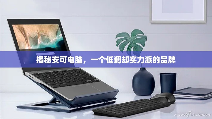 揭秘安可电脑，一个低调却实力派的品牌
