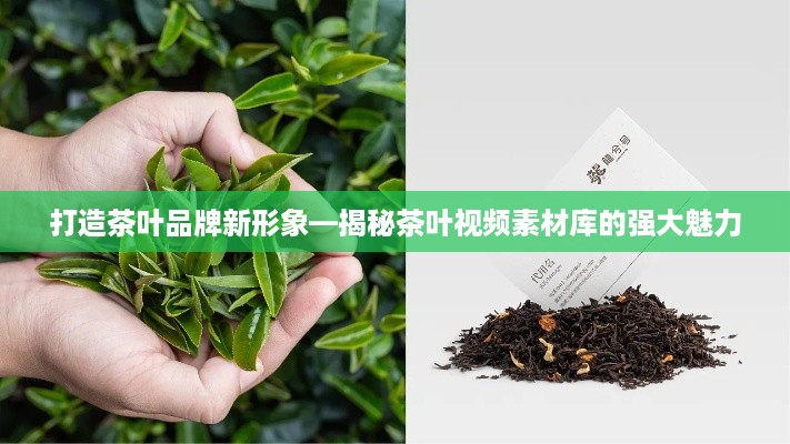 打造茶叶品牌新形象—揭秘茶叶视频素材库的强大魅力