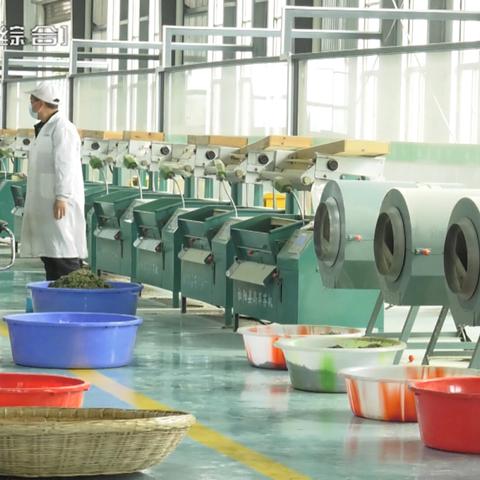 品味茶香四溢，盘点十大热门品牌茶叶推荐及详细介绍