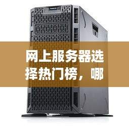 网上服务器选择热门榜，哪些服务器平台更胜一筹