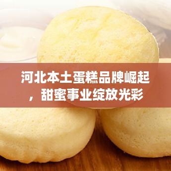 河北本土蛋糕品牌崛起，甜蜜事业绽放光彩