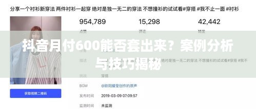 抖音月付600能否套出来？案例分析与技巧揭秘