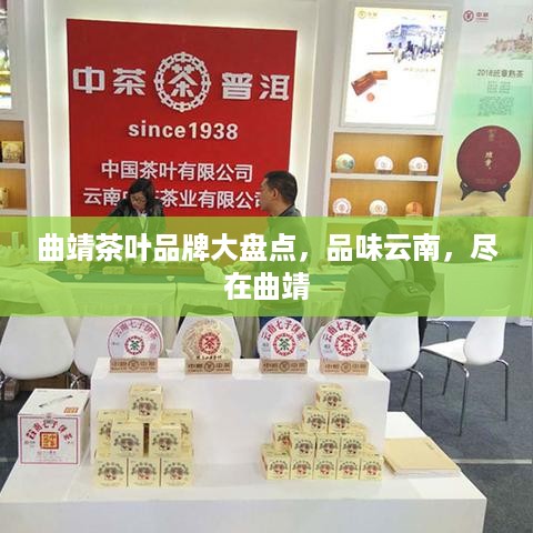 曲靖茶叶品牌大盘点，品味云南，尽在曲靖