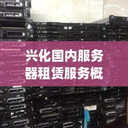 兴化国内服务器租赁服务概览