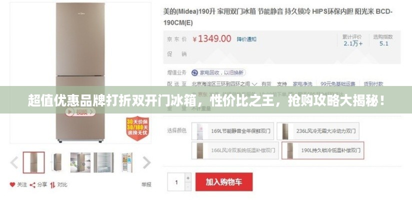 超值优惠品牌打折双开门冰箱，性价比之王，抢购攻略大揭秘！