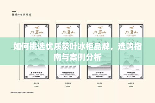 如何挑选优质茶叶冰柜品牌，选购指南与案例分析