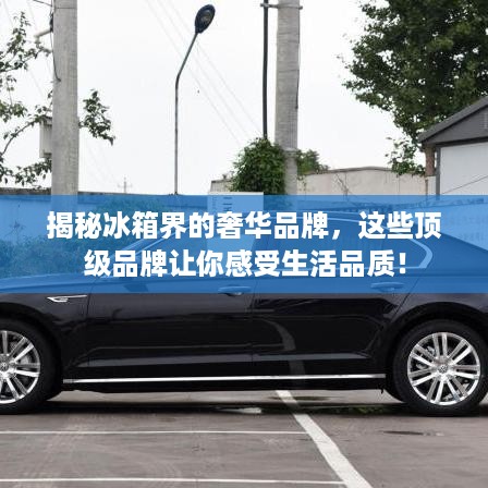 揭秘冰箱界的奢华品牌，这些顶级品牌让你感受生活品质！