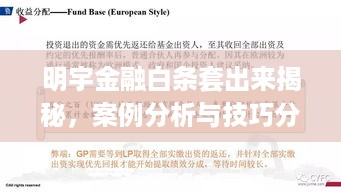 明宇金融白条套出来揭秘，案例分析与技巧分享