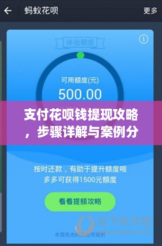 支付花呗钱提现攻略，步骤详解与案例分析