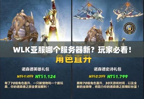 WLK亚服哪个服务器新？玩家必看！