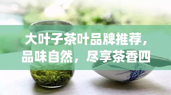 大叶子茶叶品牌推荐，品味自然，尽享茶香四溢