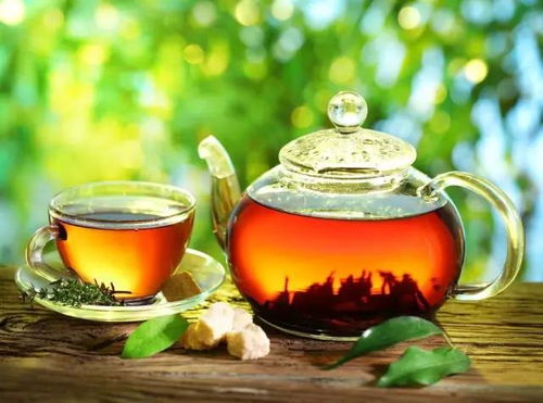 大叶子茶叶品牌推荐，品味自然，尽享茶香四溢